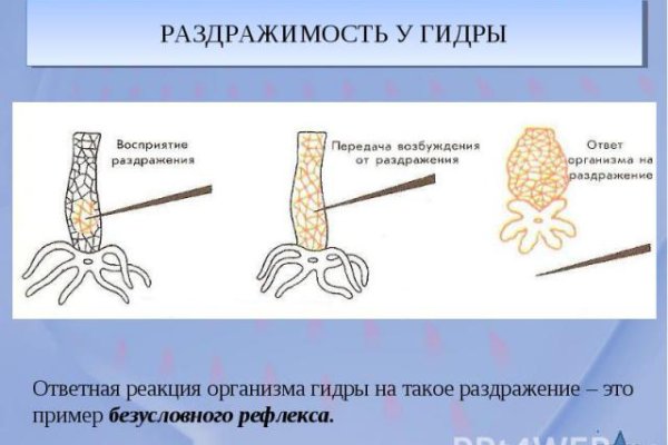 Mega мориарти официальный сайт