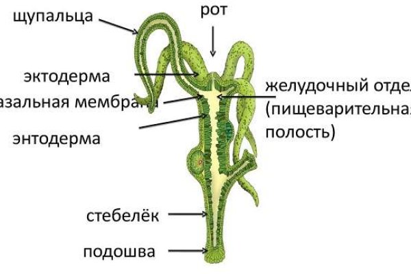 Mega darknet market ссылка на сайт